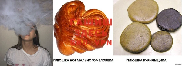 ПСИЛОЦИБИНОВЫЕ ГРИБЫ Баксан