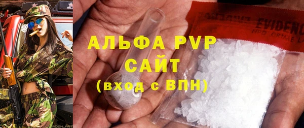 ПСИЛОЦИБИНОВЫЕ ГРИБЫ Баксан