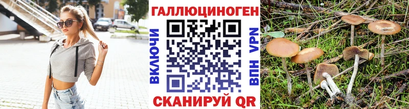 Галлюциногенные грибы Psilocybine cubensis  где продают наркотики  Нижняя Салда 